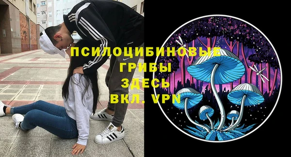 бошки Зеленокумск
