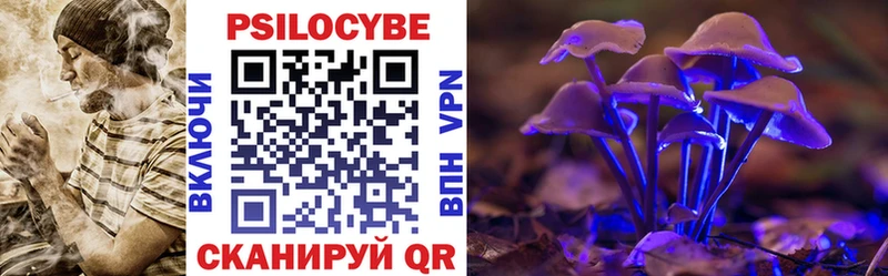 Псилоцибиновые грибы мицелий  Купить  Дудинка 